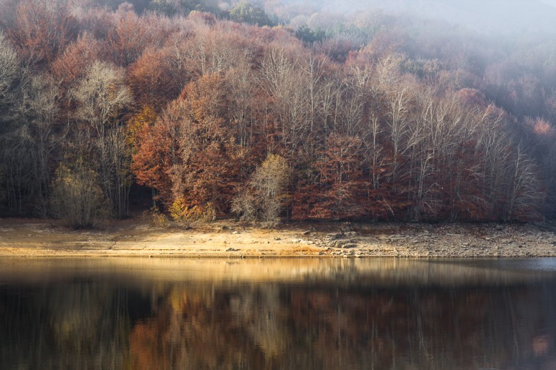 Bosque en otoño con reflejos al agua del estanque